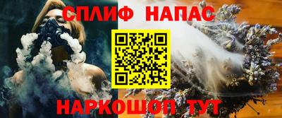 бошки Гагарин