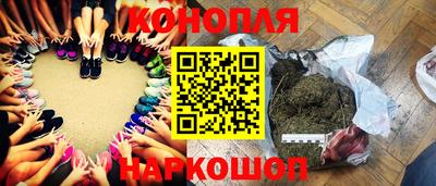 мяу мяу мука Гатчина