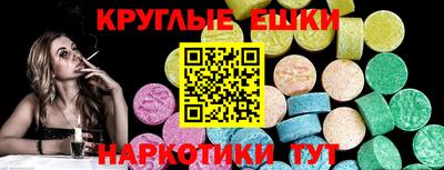 мяу мяу мука Гатчина