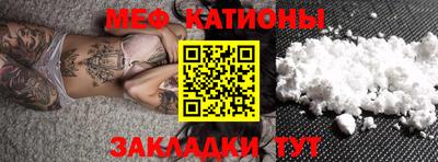 мяу мяу мука Гатчина