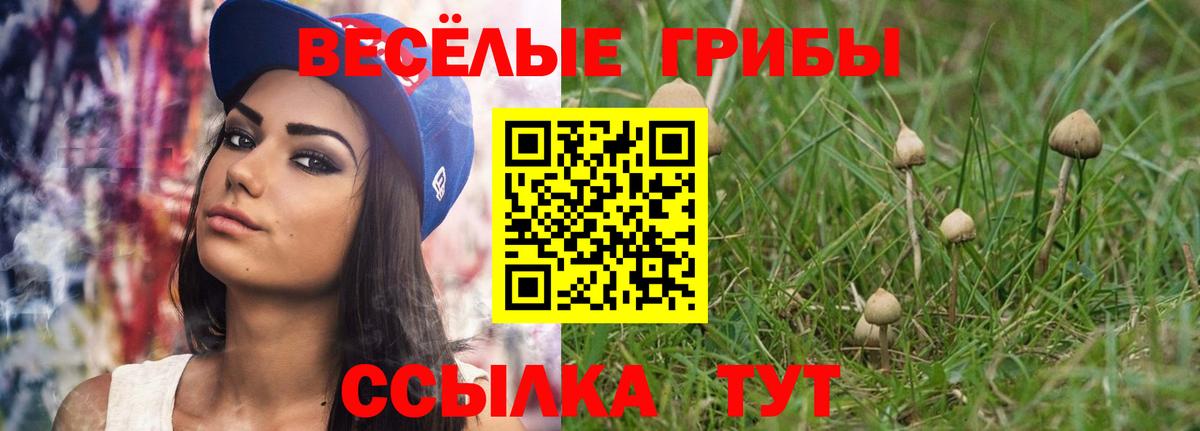 Ногинск  Псилоцибиновые грибы мицелий  Вход с VPN 